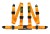 Pasy szelkowe RBS Technology 4p / 2" Orange