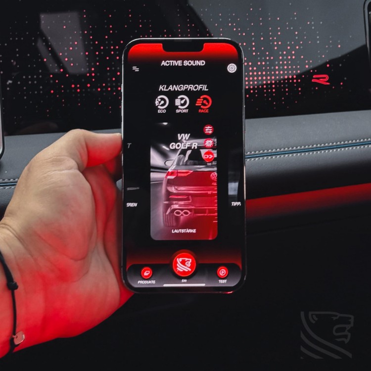 GŁOŚNIK WEWNĘTRZNY DO SAMOCHODU LEO 7.4 INCAR PANTHERA ACTIVE SOUND