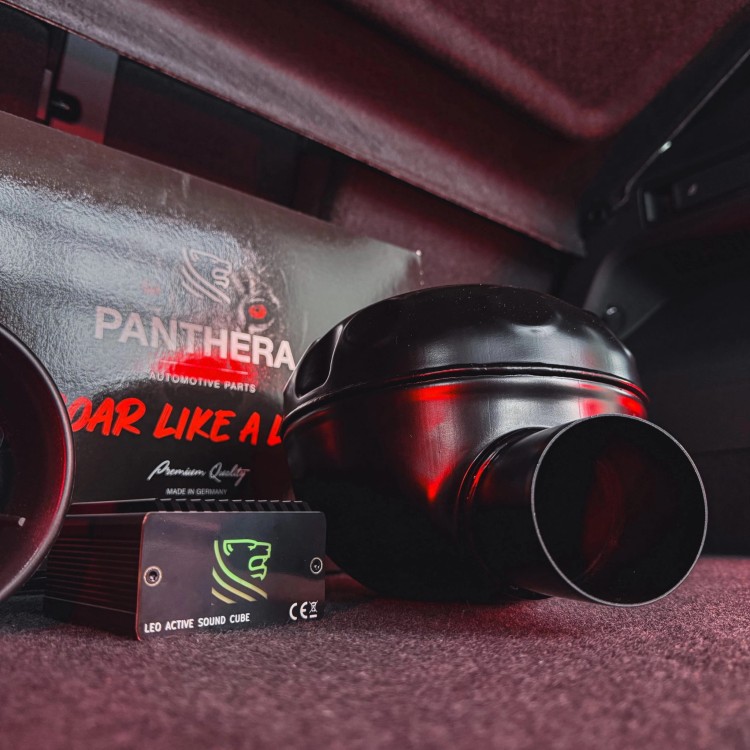 AKTYWNY WYDECH GŁOŚNIK PANTHERA LEO 7.1 ACTIVE SOUND GENERATOR