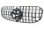 GRILL ATRAPA PANAMERICANA MERCEDES GLS SUV X167 (19-23) CHROM