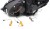 LAMPY PRZEDNIE REFLEKTORY LED BLACK SEQ DRL MERCEDES C KLASA W204 11-14