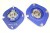 CAMBER PLATES FOR DAEWOO LANOS