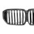 GRILL ATRAPA NERKI CARBON DO BMW X5 G05 X5M LCI (22+)WŁÓKNO WĘGLOWE